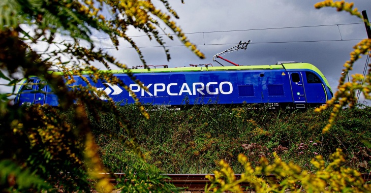 Fakty o sytuacji Spółki PKP CARGO S.A. Fakty o sytuacji Spółki PKP CARGO S.A.