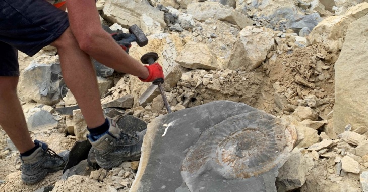 Fascynujące Odkrycia na “Paleontologicznym Obozie Poszukiwawczym w Kamieniołomie Owadów-Brzezinki firmy Nordkalk” Fascynujące Odkrycia na “Paleontologicznym Obozie Poszukiwawczym w Kamieniołomie Owadów-Brzezinki firmy Nordkalk”
