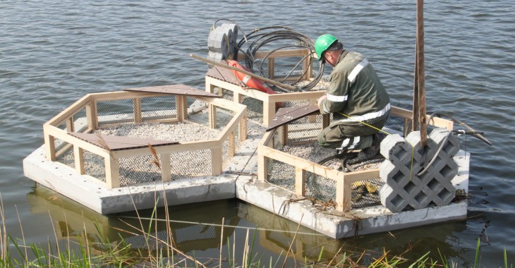 Górażdże wodują betonowe wyspy dla ptaków 