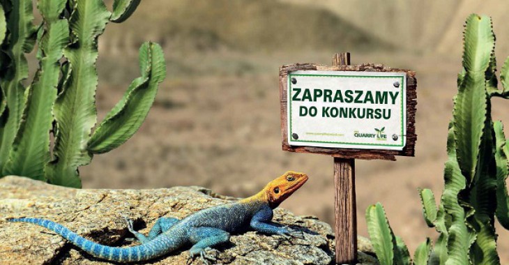 CSR w Górażdżach przykładem dla członków Loży Opolskiej BCC CSR w Górażdżach przykładem dla członków Loży Opolskiej BCC