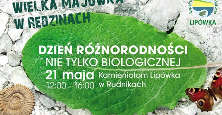 Dzień Różnorodności w kamieniołomie Lipówka Dzień Różnorodności w kamieniołomie Lipówka