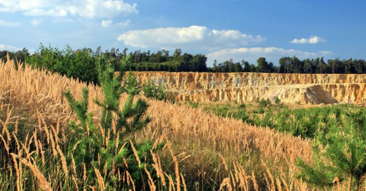 Quarry Life Award 2016 coraz bliżej finału Quarry Life Award 2016 coraz bliżej finału