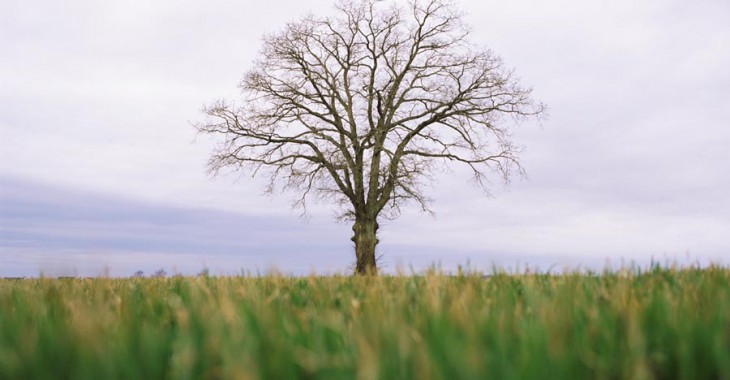 Natura 2000 - finansowanie – przejrzyste zasady Natura 2000 - finansowanie – przejrzyste zasady