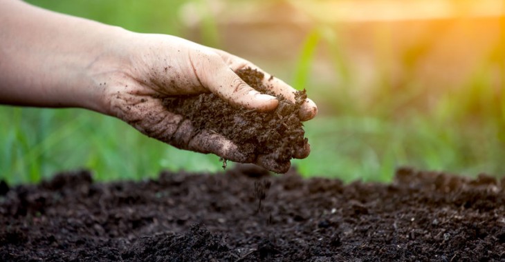 Dzisiaj obchodzony jest Światowy Dzień Gleby