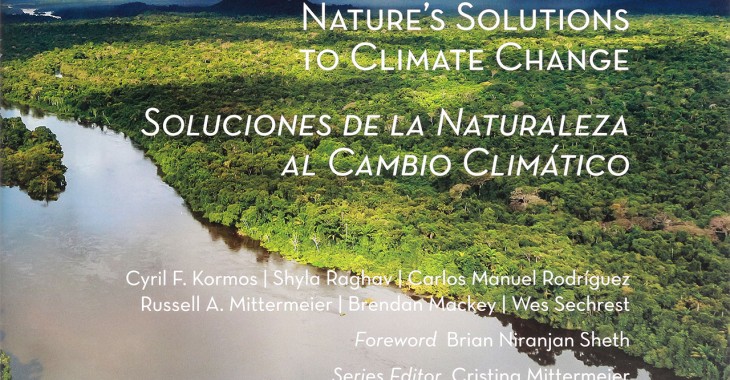 CEMEX prezentuje album „Wykorzystanie rozwiązań natury w walce ze zmianami klimatu” CEMEX prezentuje album „Wykorzystanie rozwiązań natury w walce ze zmianami klimatu”