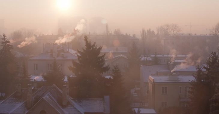 Krzem i wapń w walce ze smogiem Krzem i wapń w walce ze smogiem