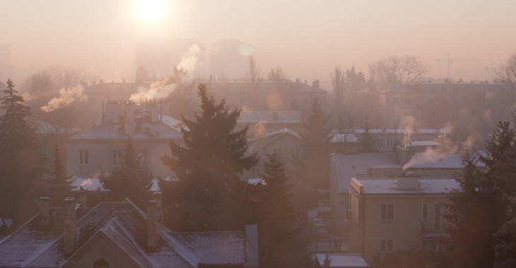 Krzem i wapń w walce ze smogiem