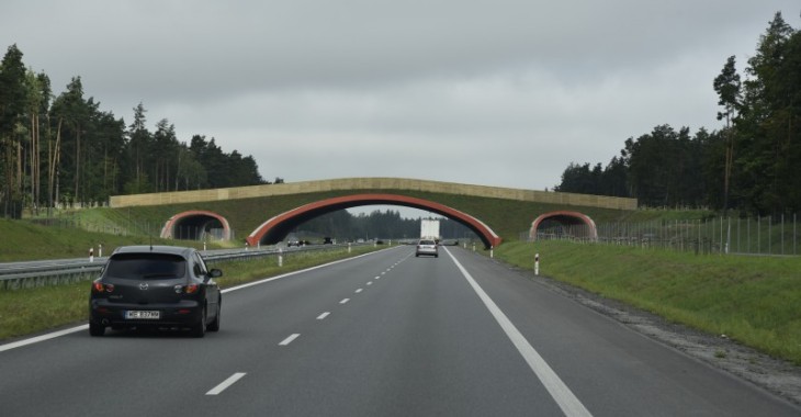 Kolejny ZRID na budowę S61 Kolejny ZRID na budowę S61