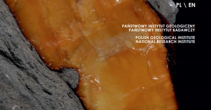 PIG-PIB udostępnia foldery informacyjno-edukacyjne o surowcach mineralnych PIG-PIB udostępnia foldery informacyjno-edukacyjne o surowcach mineralnych