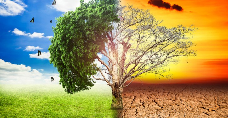 Zmiany klimatu znacznie większym wyzwaniem dla ludzkości niż koronawirus Zmiany klimatu znacznie większym wyzwaniem dla ludzkości niż koronawirus