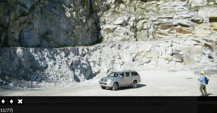 Międzynarodowy Dzień Geologa 2021 Międzynarodowy Dzień Geologa 2021