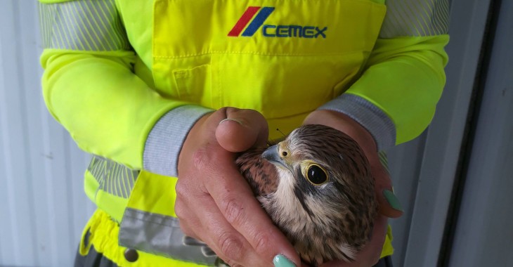 40 pustułek opuściło cementownie CEMEX w 2021 roku 40 pustułek opuściło cementownie CEMEX w 2021 roku